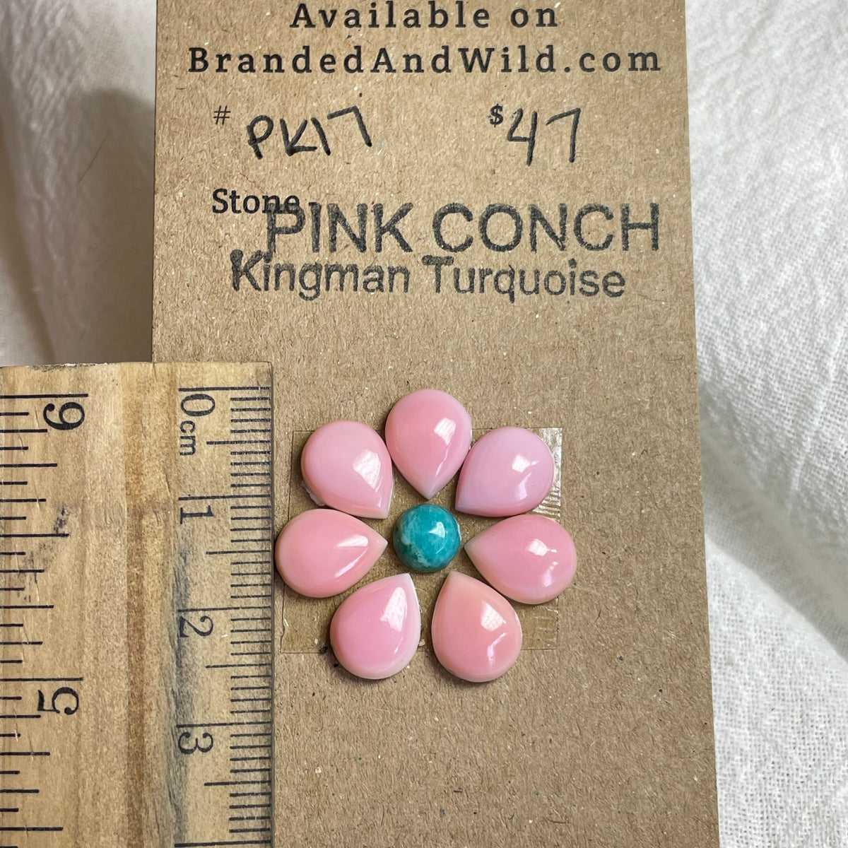 Pink Conch / Kingman Turquoise Cabochon - PK17