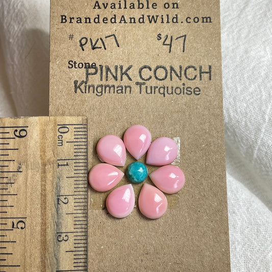 Pink Conch / Kingman Turquoise Cabochon - PK17 63F157E8-C26E-4E73-BAB9-4A6566E8A768 Brandedandwild.com