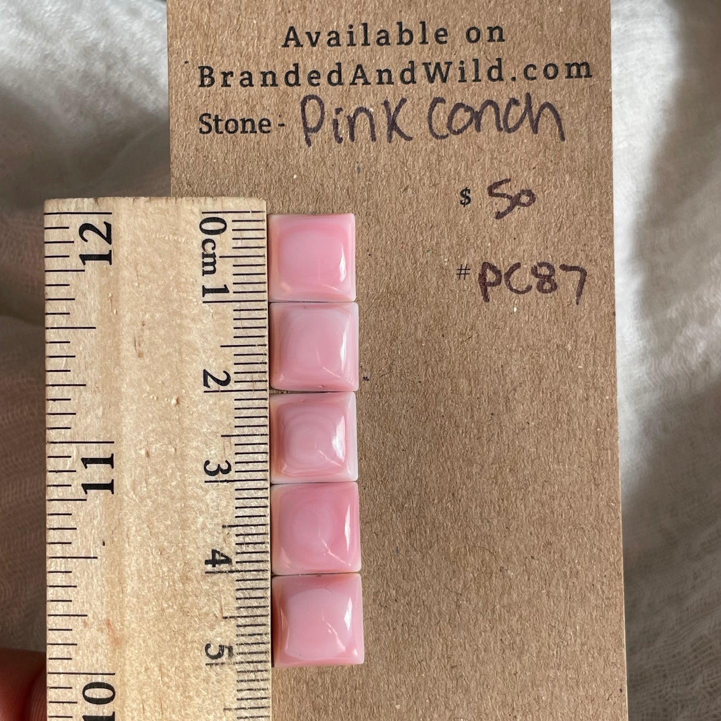 Pink Conch Cabochon - PC87 63F41A3E-0CDD-4E49-9A86-AA8E50E658B5 Brandedandwild.com