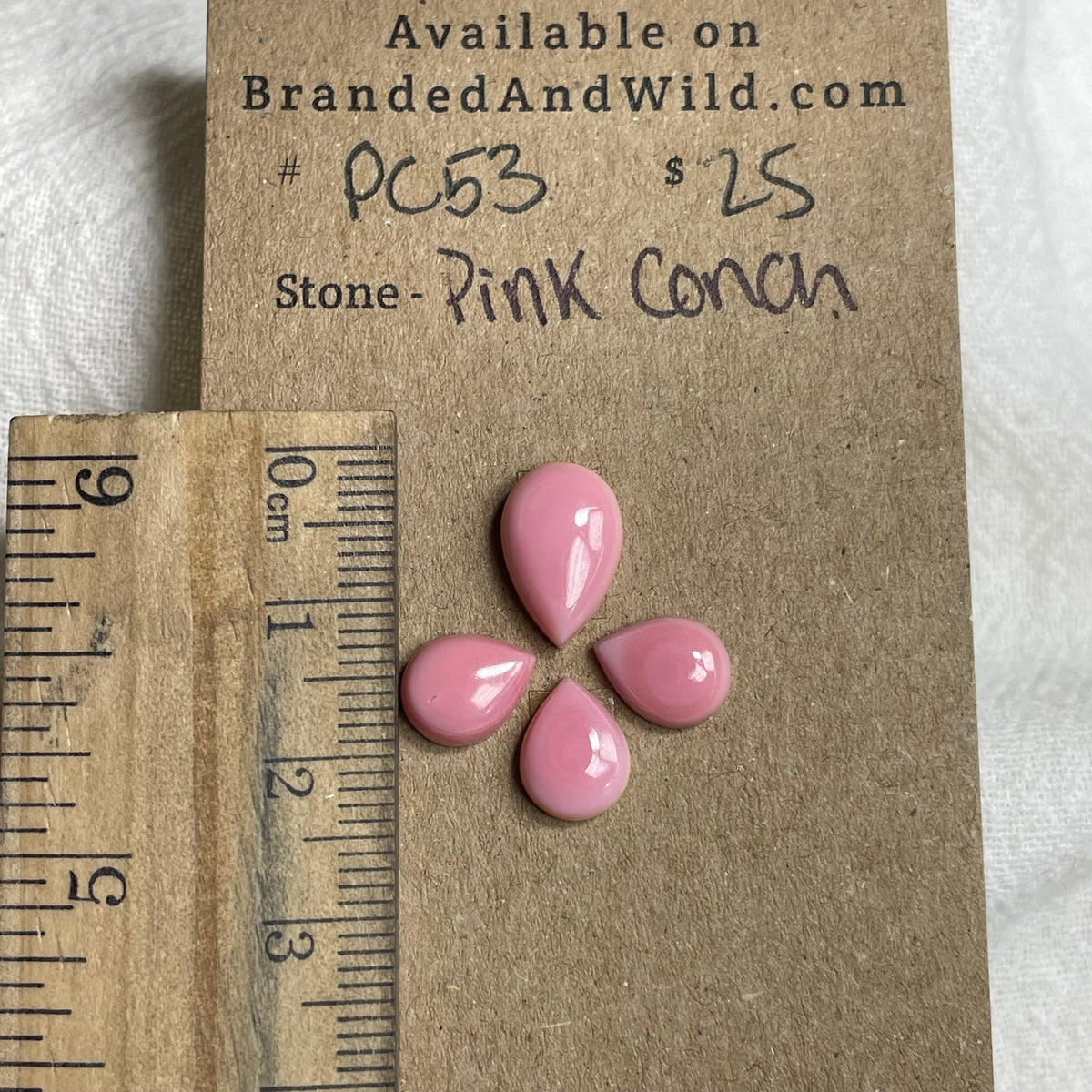 Pink Conch Cabochon - PC53 64092337-6B57-47BC-B00D-B1303F6FAAE3 Brandedandwild.com