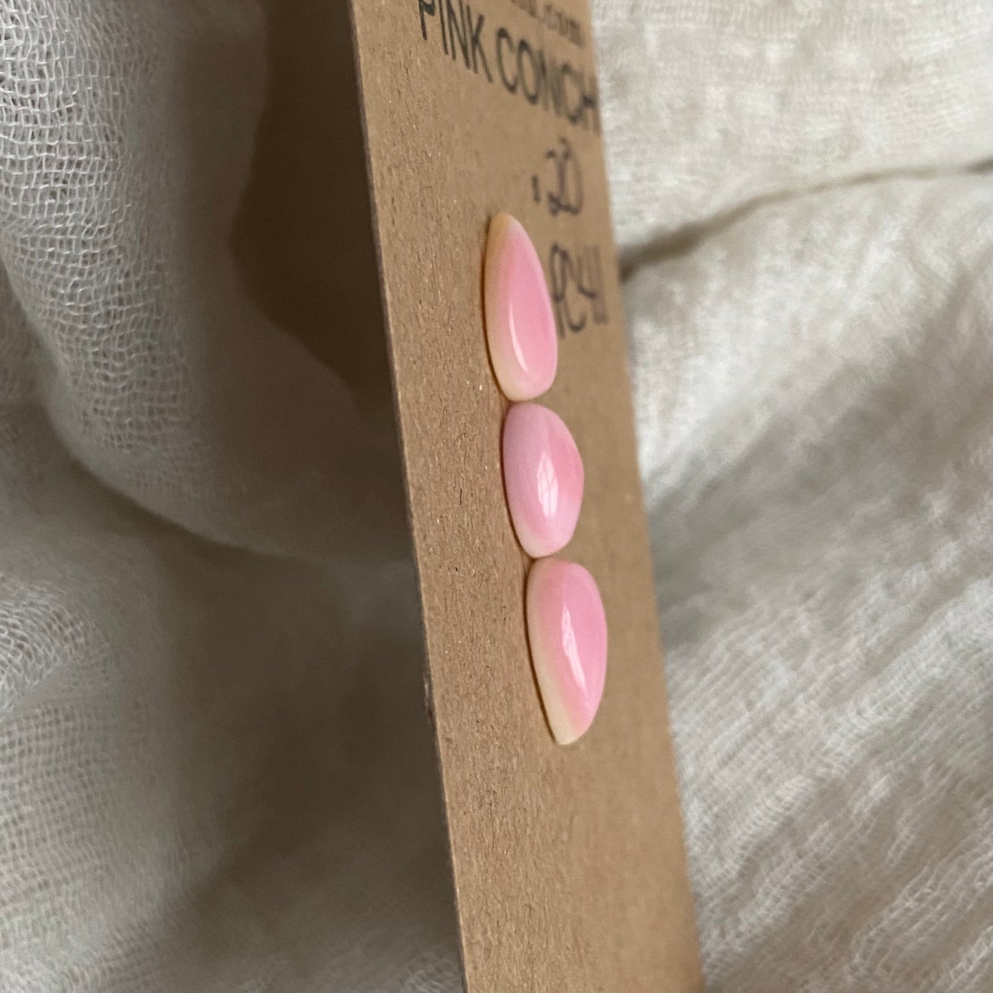 Pink Conch Cabochon - PC41