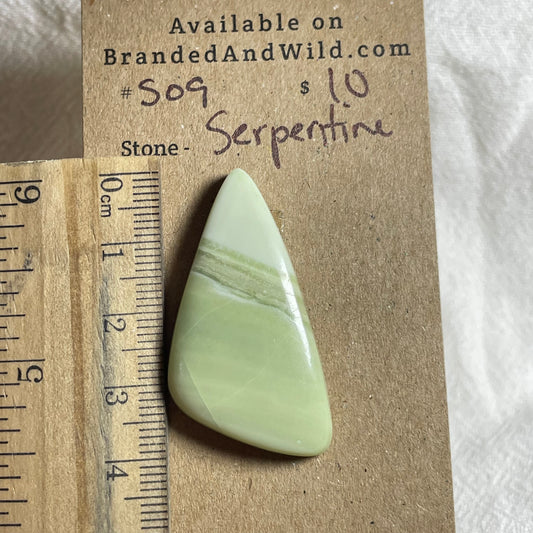 Serpentine - Cabochon - S09 6417A0C1-4F81-435C-9745-96D29CA7EF62 Brandedandwild.com
