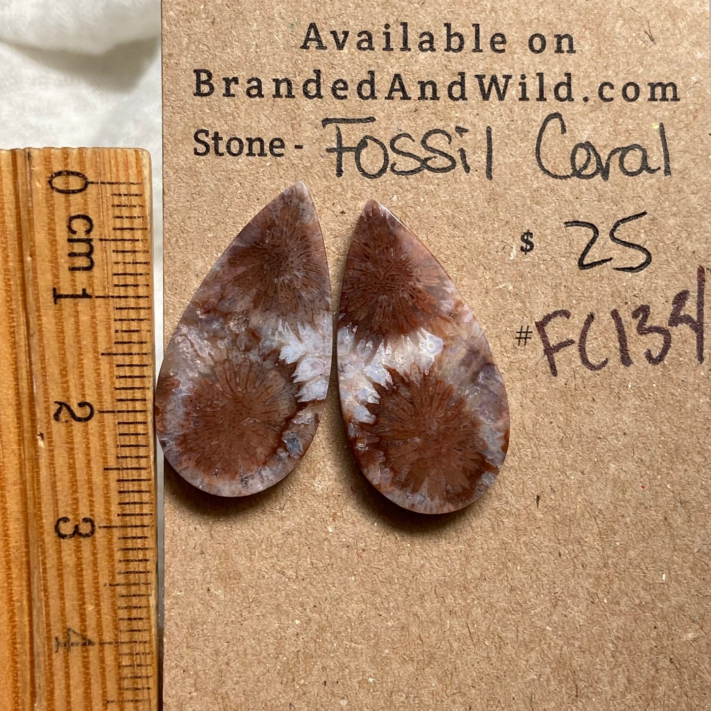 Fossil Coral Cabochon - FC134