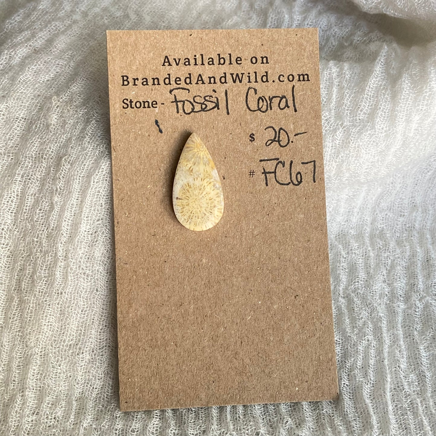Fossil Coral Cabochon - FC67