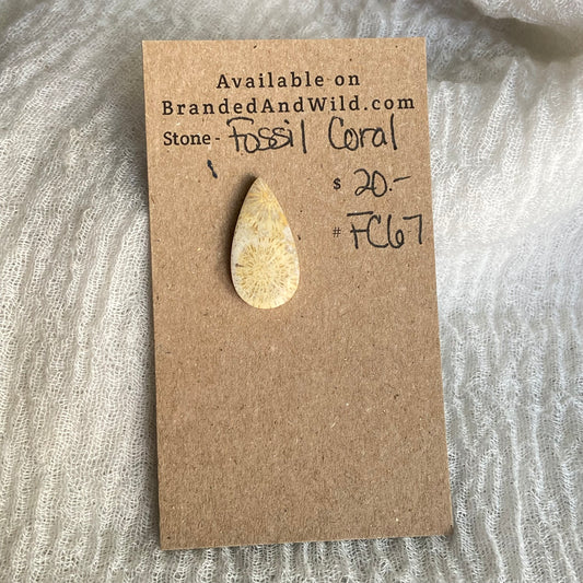 Fossil Coral Cabochon - FC67