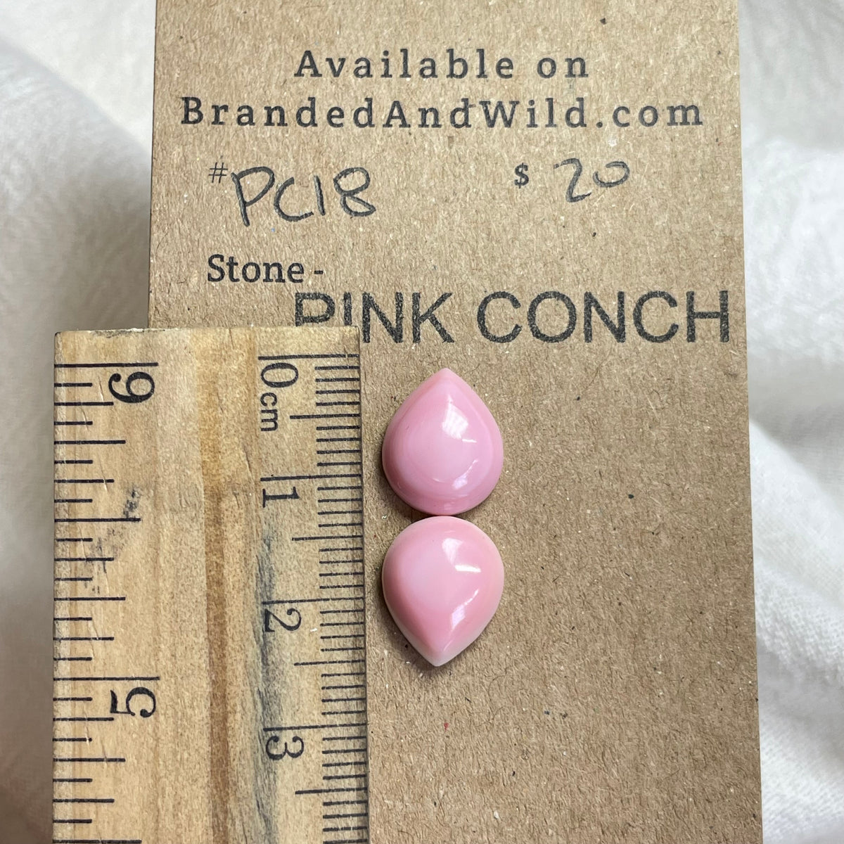 Pink Conch Cabochon - P018 645DFED9-8DD3-4AE0-83CA-F118E040958E Brandedandwild.com