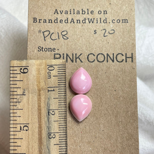 Pink Conch Cabochon - P018 645DFED9-8DD3-4AE0-83CA-F118E040958E Brandedandwild.com