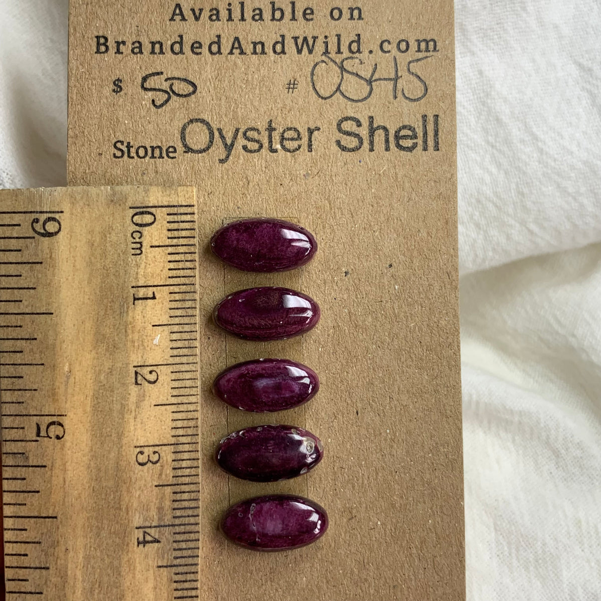 Oyster Shell Cabochon - OS45 6463AEDC-97E8-4FBF-B9DA-17EDA62DC638 Brandedandwild.com