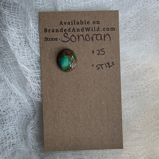 Sonoran Turquoise Cabochon - ST120