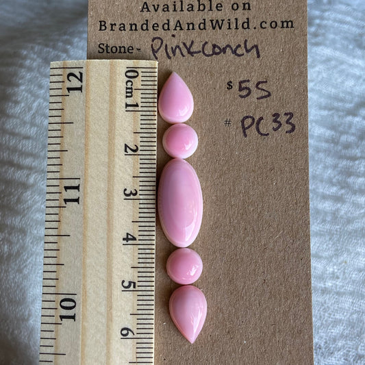 Pink Conch Cabochon - PC33