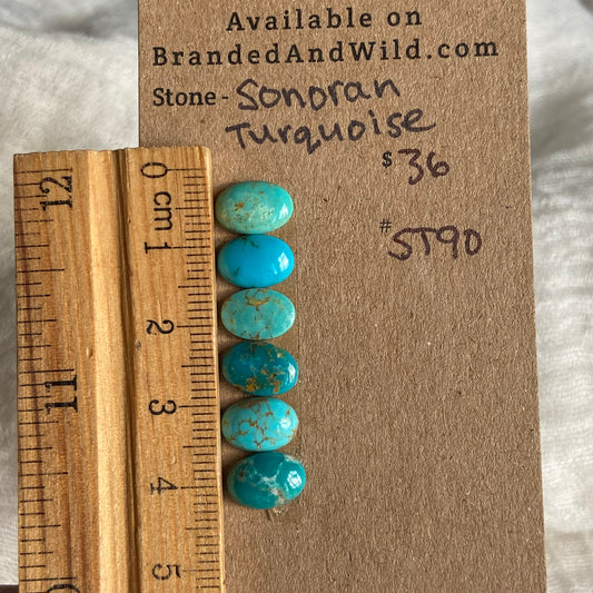 Sonoran Turquoise Cabochon - ST90