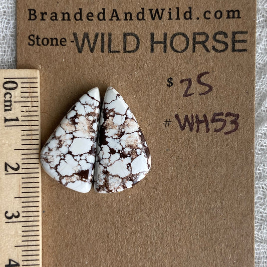 Wild Horse Cabochon - WH53