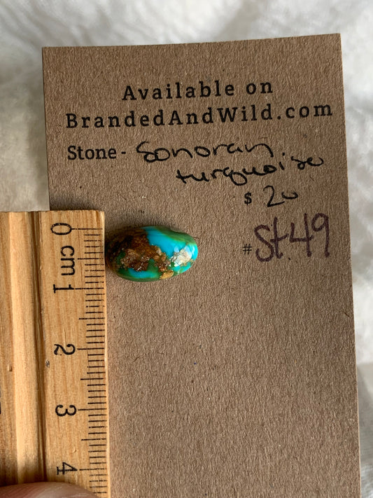 Sonoran Turquoise Cabochon - ST49