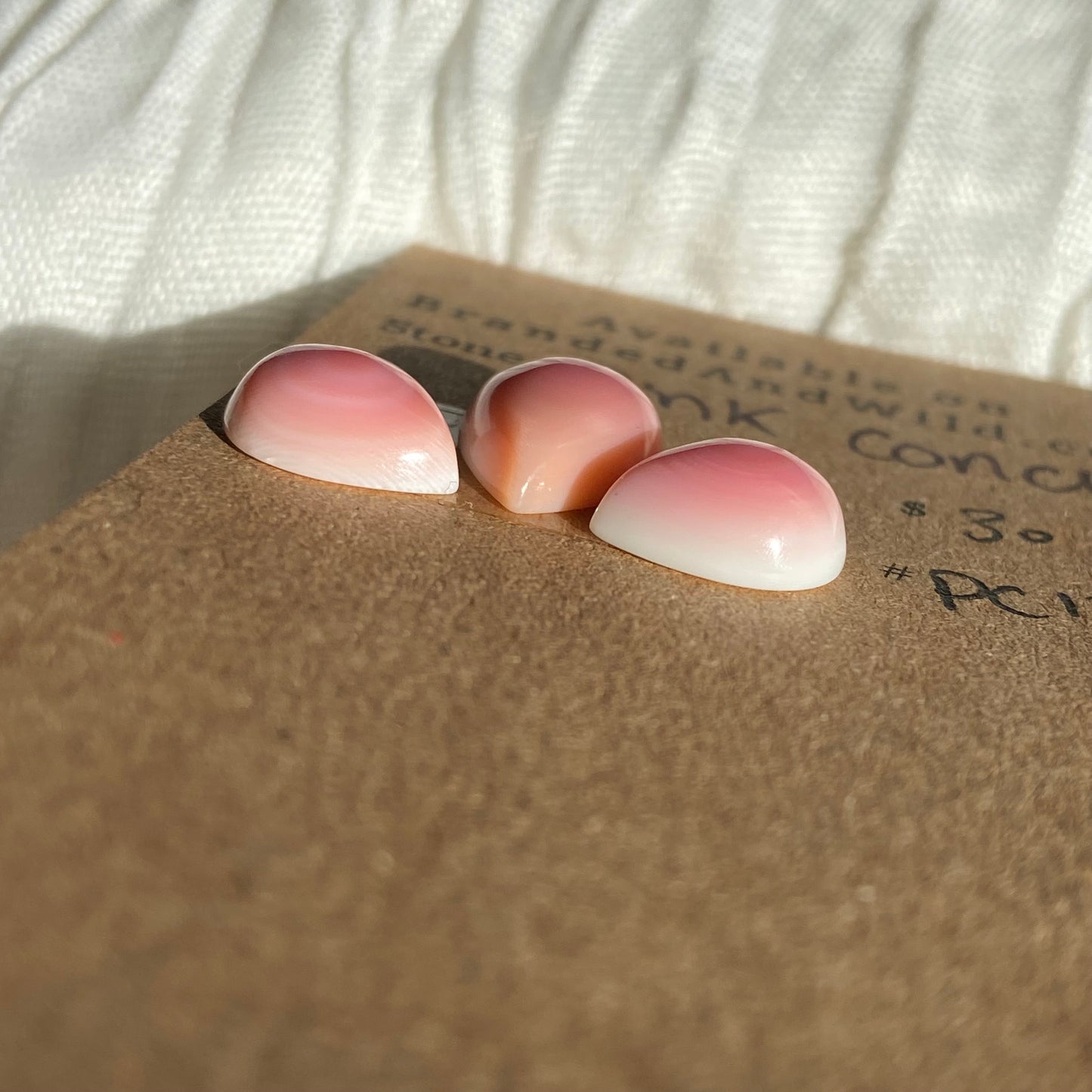 Pink Conch Cabochon - PC15 64E2FF43-0148-4188-9A43-EA35D131D37F Brandedandwild.com