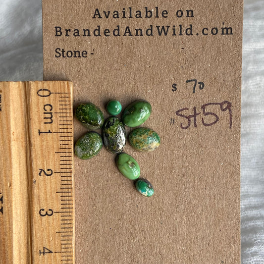 Sonoran Turquoise Cabochon - ST59