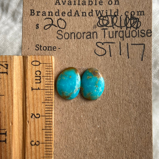 Sonoran Turquoise Cabochon - ST117 64F793C1-ECA9-41F6-A79C-96C3EA4A46D3 Brandedandwild.com