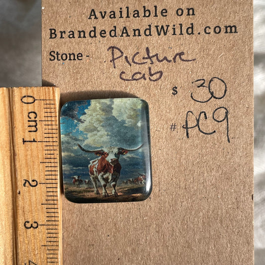 Picture Cabochon - Cabochon - PC9 65142B0D-3E2F-438C-B6A0-62E38AC82460 Brandedandwild.com