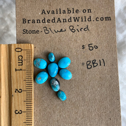 Blue Bird Turquoise Cabochon - BBT11