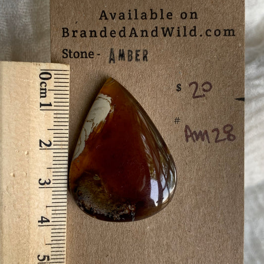Amber Cabochon AM28