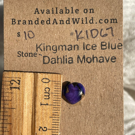 Kingman Ice Blue Dahlia Mohave - KID67 654E6460-AEFA-4A37-BEB4-A013EEFFF64E Brandedandwild.com