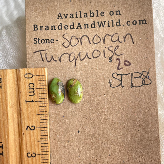 Sonoran Turquoise Cabochon - ST138 655D98F8-2367-4B34-9DF7-934C80D359C3 Brandedandwild.com