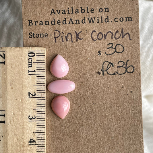 Pink Conch Cabochon - PC36 6562BA8E-2B67-4B42-835E-94C1D2506C03 Brandedandwild.com