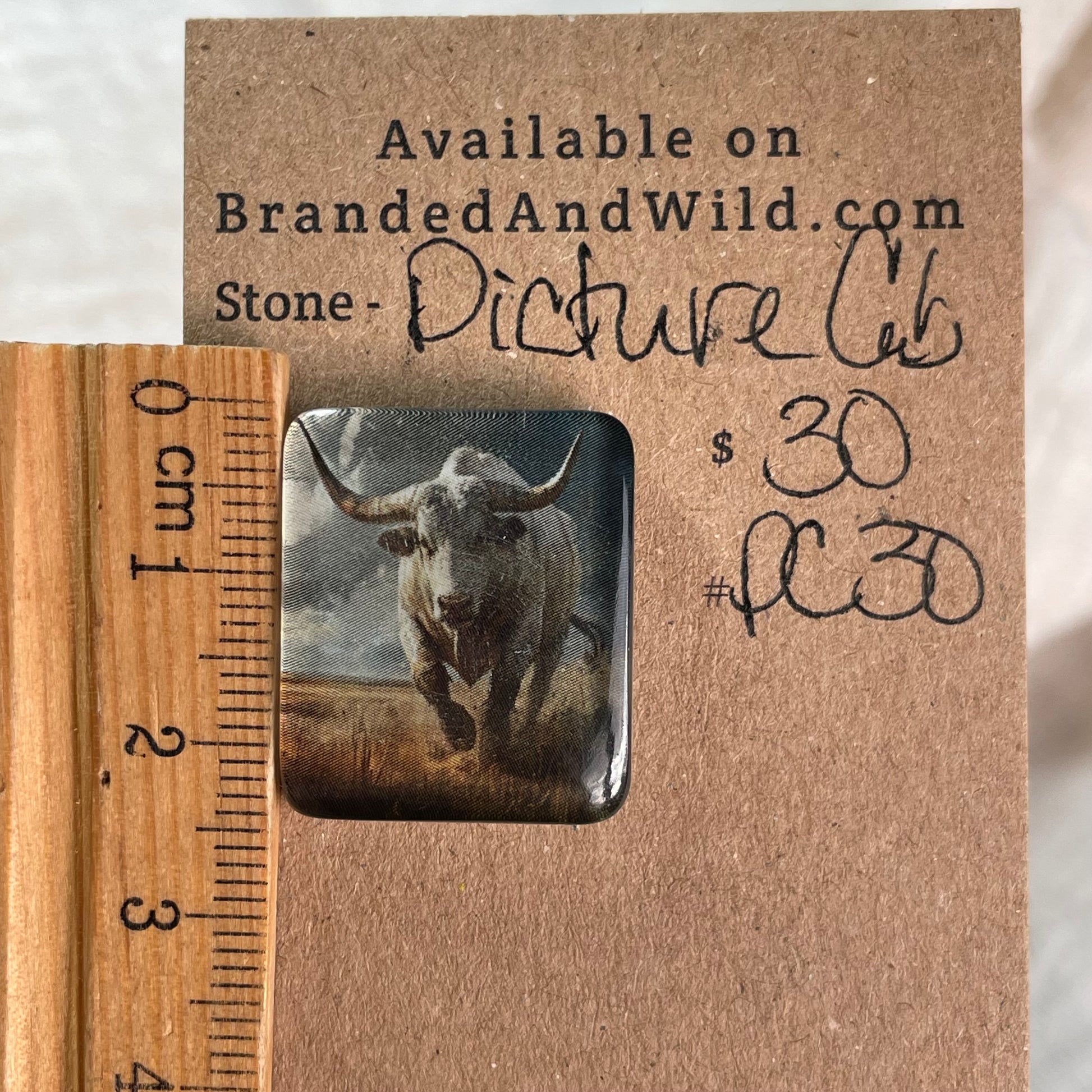 Picture Cabochon - Cabochon - PC30 657DE4BC-8FE8-47DA-92AA-46342F7C4F37 Brandedandwild.com
