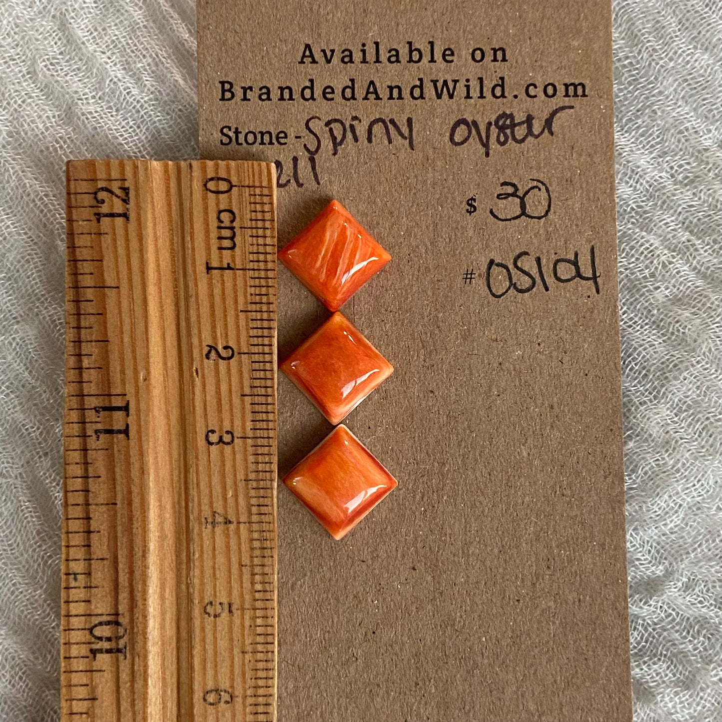 Oyster Shell Cabochon - OS104