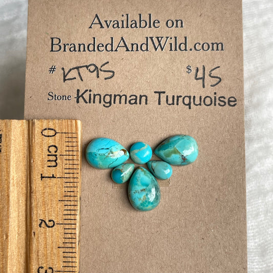 Kingman Turquoise Cabochon - KT95 6606EC4F-4B8B-468A-AFB4-304832342AAD Brandedandwild.com