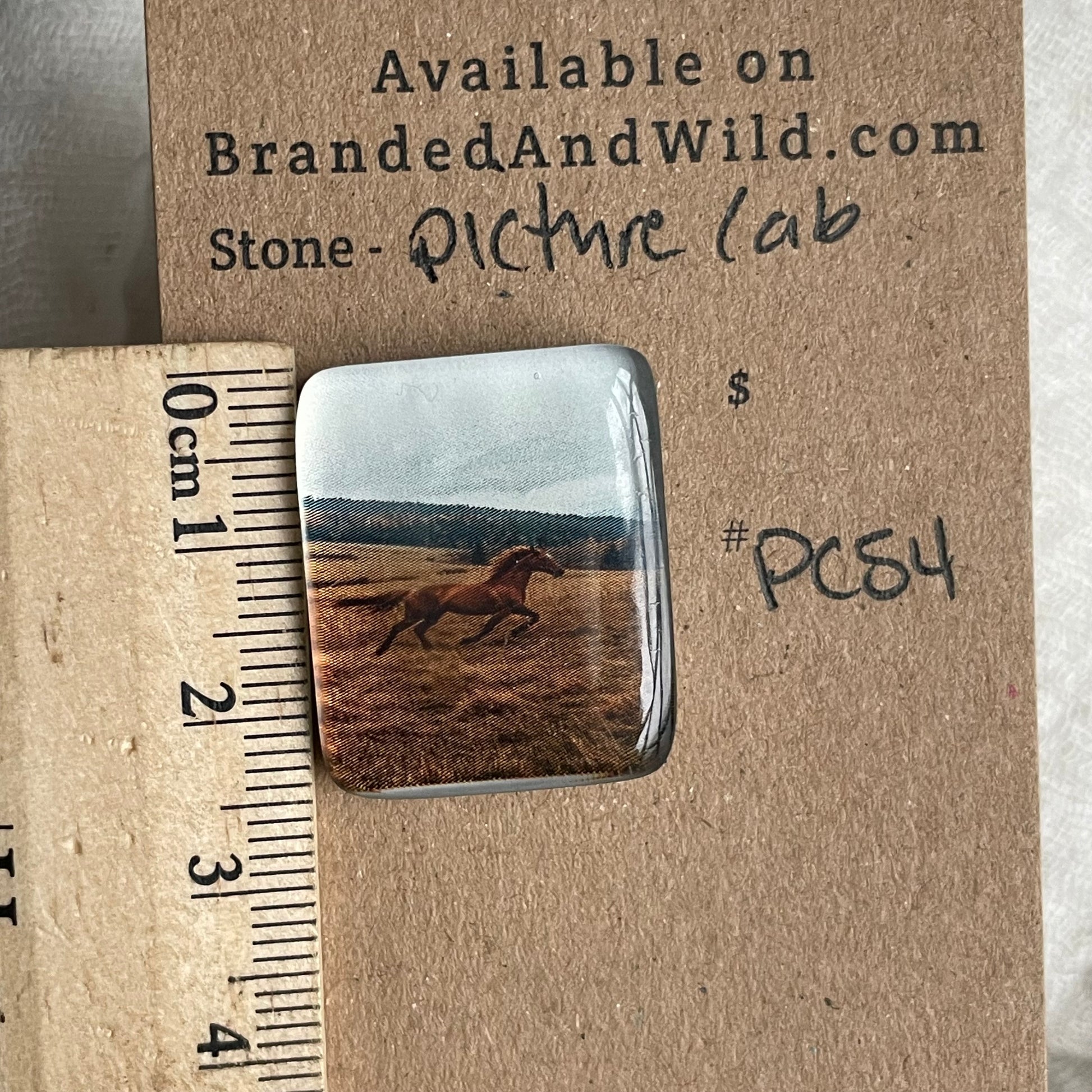 Picture Cabochon - Cabochon - PC54 6614D417-6127-4A44-9A5C-AECBA28C3DA0 Brandedandwild.com