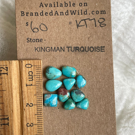 Kingman Turquoise Cabochon - KT78 6678C57A-150E-4084-B223-6685EB46B54D Brandedandwild.com
