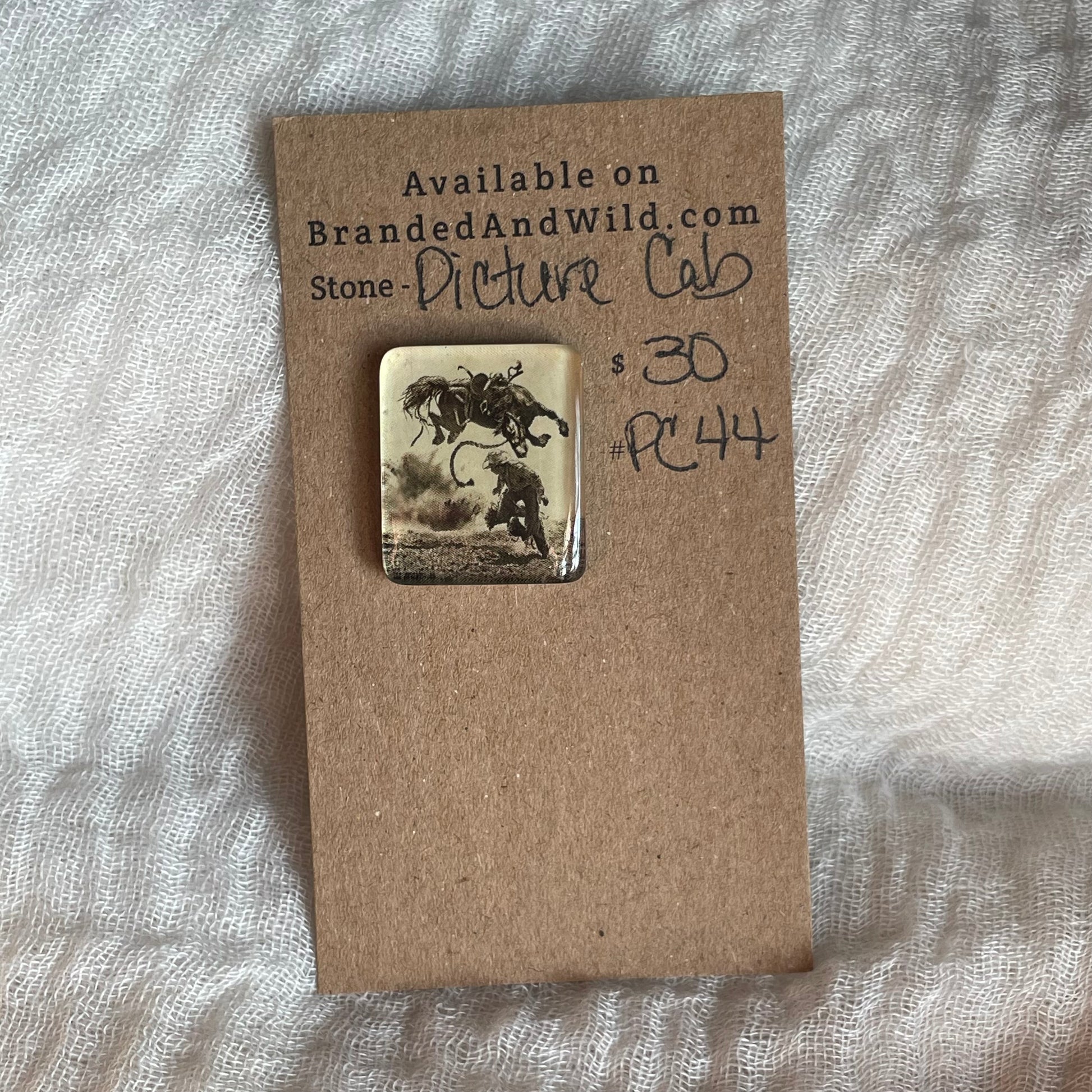 Picture Cabochon - Cabochon - PC44 6694BA77-2814-4CAA-A487-227DC4454B18 Brandedandwild.com