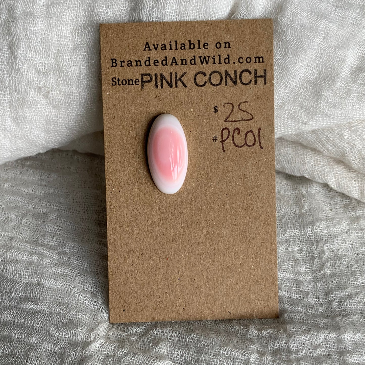 Pink Conch Cabochon - PC01