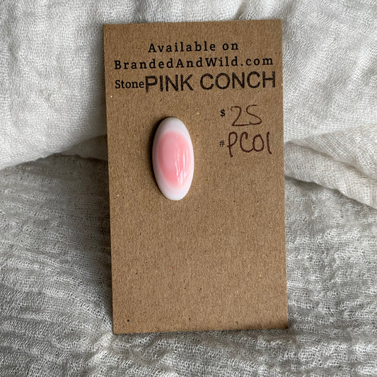 Pink Conch Cabochon - PC01