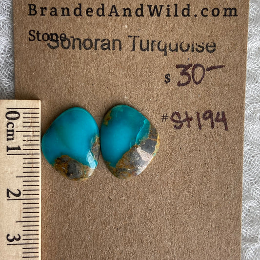 Sonoran Turquoise Cabochon - ST194