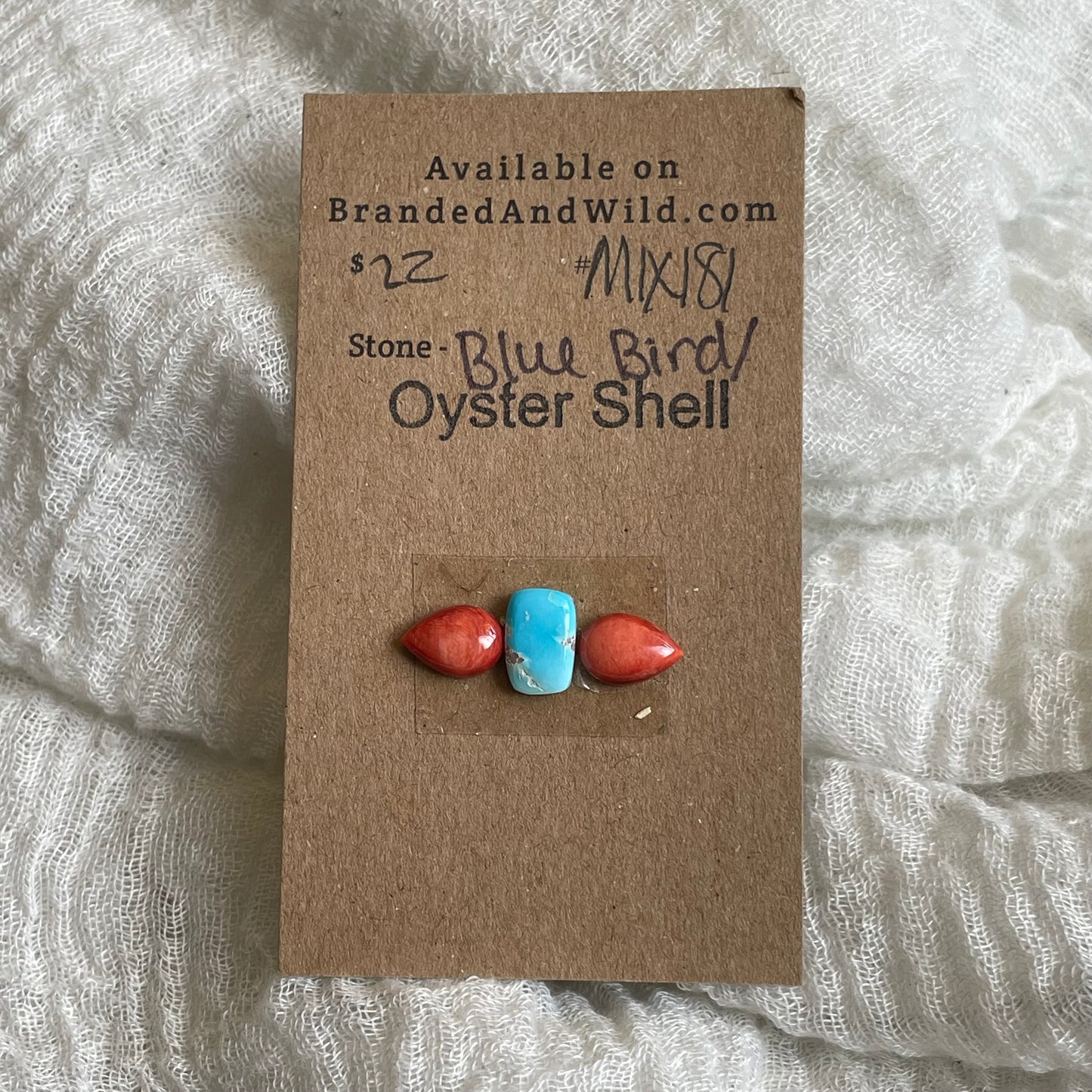 Oyster Shell / Blue bird Cabochon - MIX181