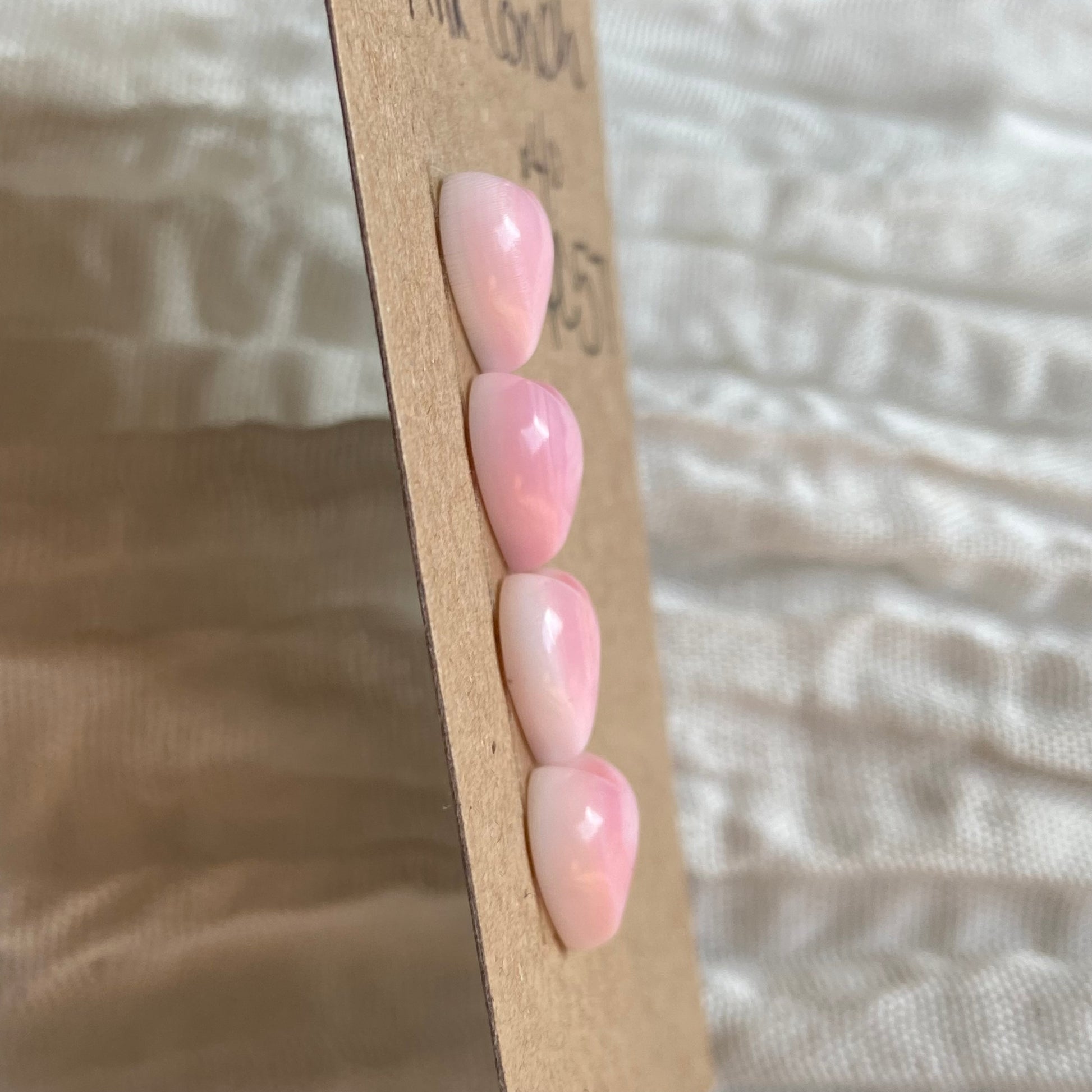 Pink Conch Cabochon - PC57 66E737C4-817C-4502-92CB-8DCDD65C704E Brandedandwild.com