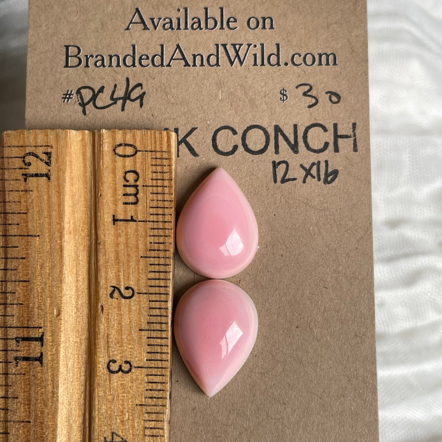 Pink Conch Cabochon - PC49 66F1599B-017B-4605-9673-356843E0F6F9 Brandedandwild.com