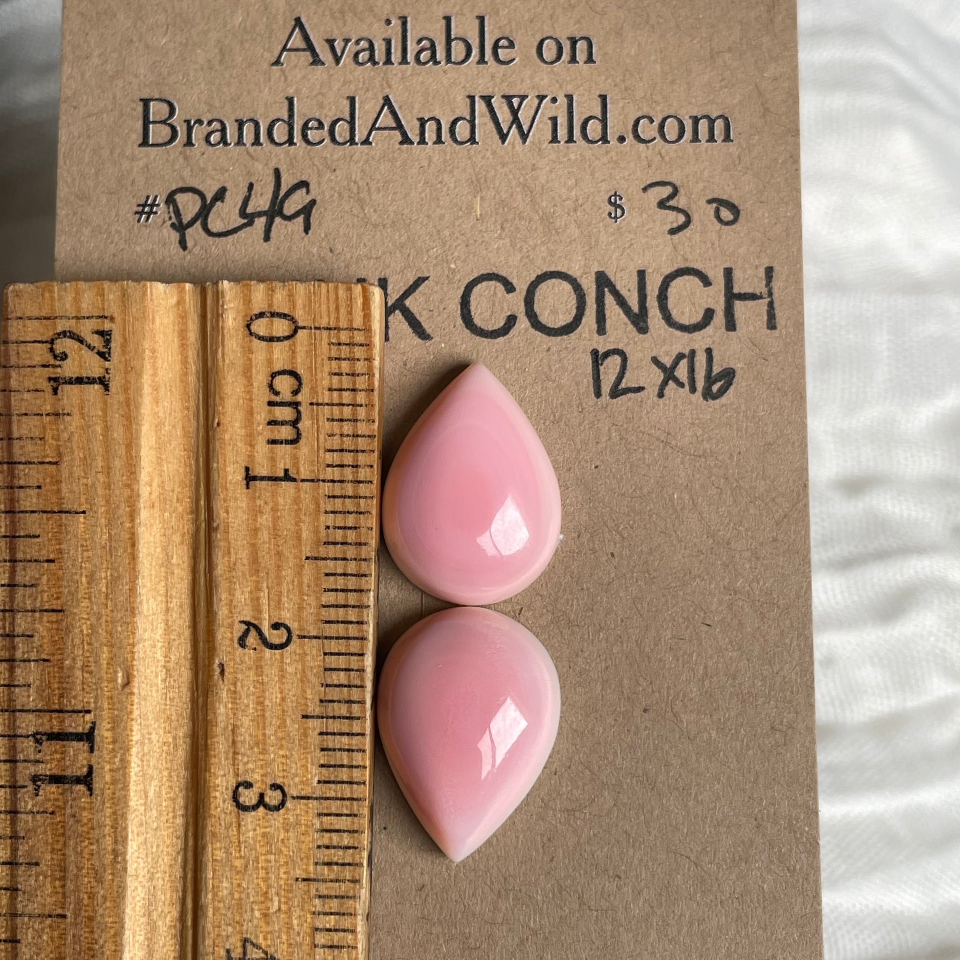 Pink Conch Cabochon - PC49 66F1599B-017B-4605-9673-356843E0F6F9 Brandedandwild.com
