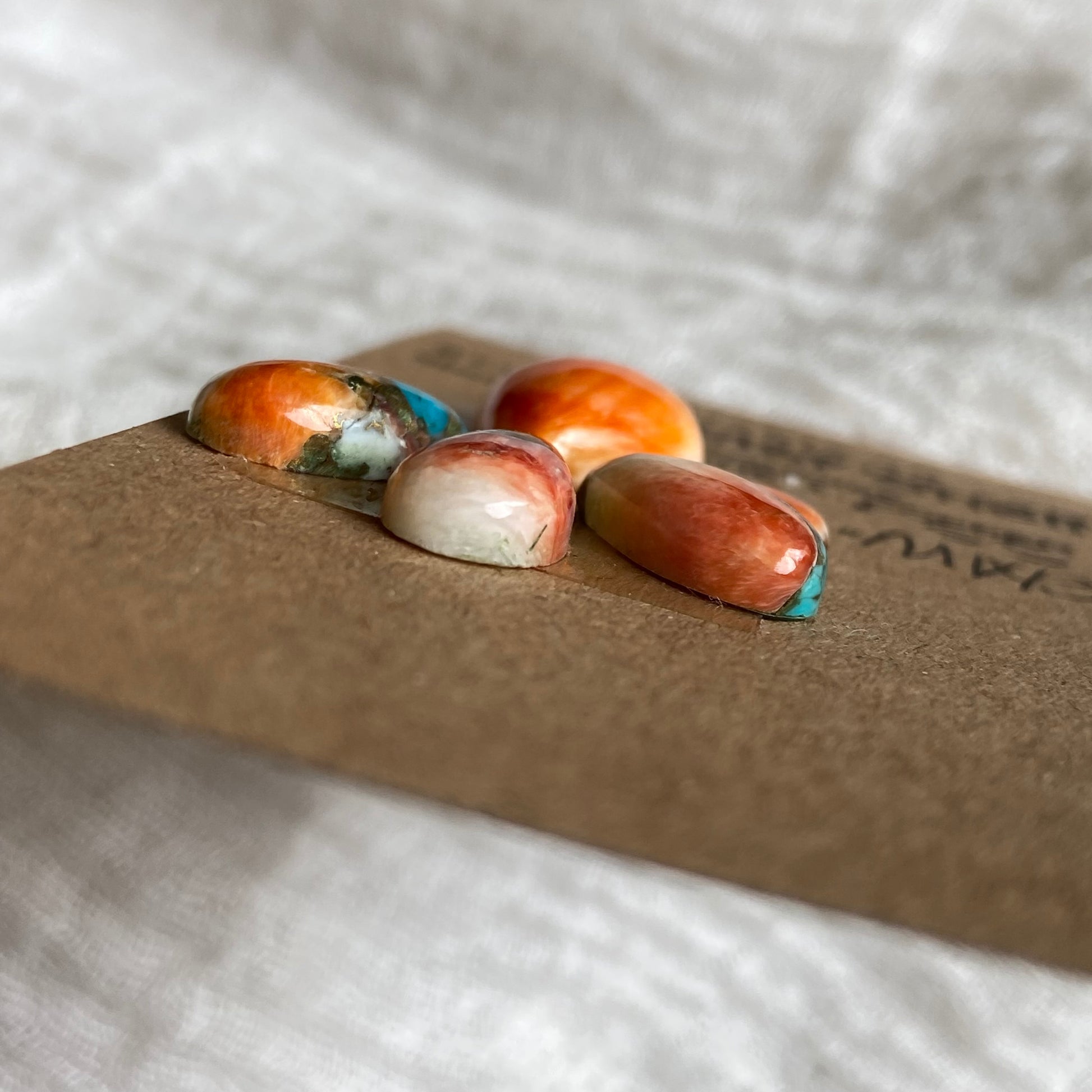 Oyster Shell Cabochon - Mix135 670B7765-72B5-4C61-BFF2-8F93AB70A965 Brandedandwild.com