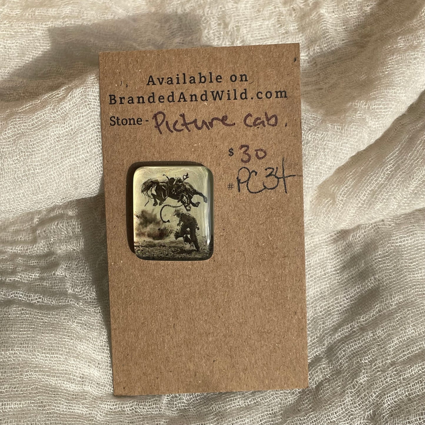 Picture Cabochon - Cabochon - PC34 67132FF2-F096-4507-A5E9-10899DC1B1E4 Brandedandwild.com