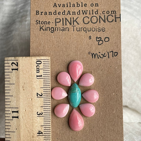 Kingman / Pink Conch Cabochon - Mix170 673AC1FB-7CE6-4AC4-87F2-F8AC5AB2B700 Brandedandwild.com