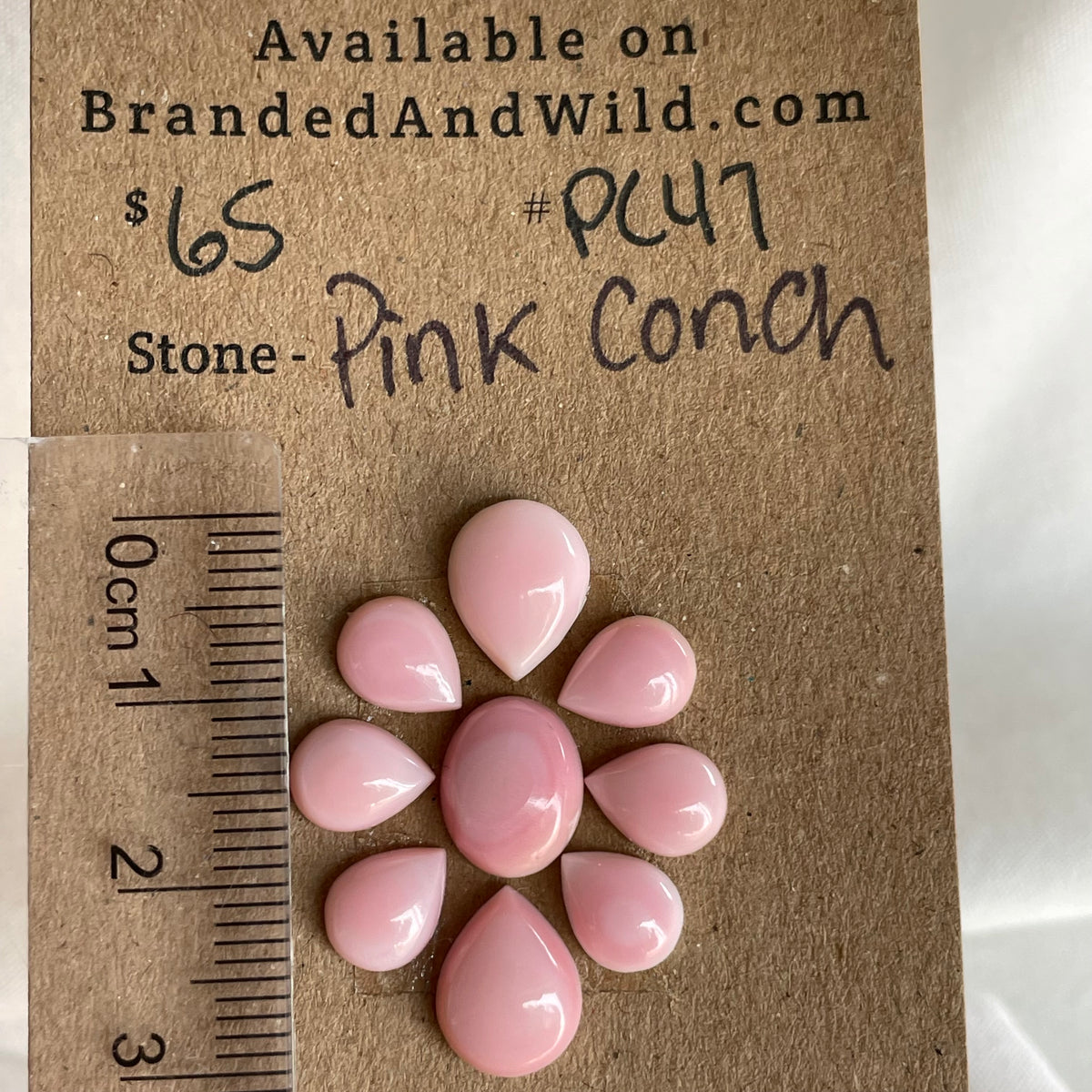 Pink Conch Cabochon - PC47 67454AD8-D130-46E5-8D44-5BA769211196 Brandedandwild.com