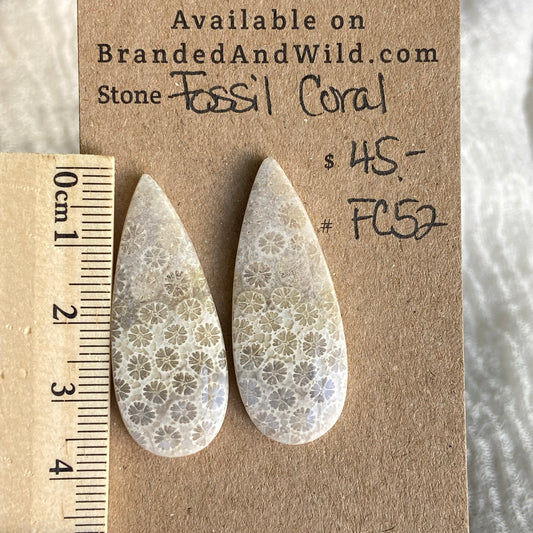 Fossil Coral Cabochon - FC52