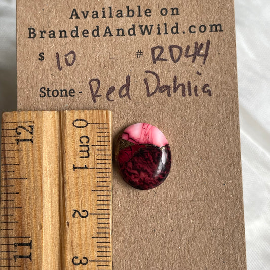 Red Dahlia Cabochon - RD44 67669385-5A61-4D32-AA78-69E9EC60A3E4 Brandedandwild.com