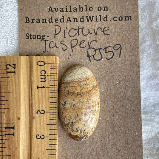 Picture Jasper Cabochon - PJ59