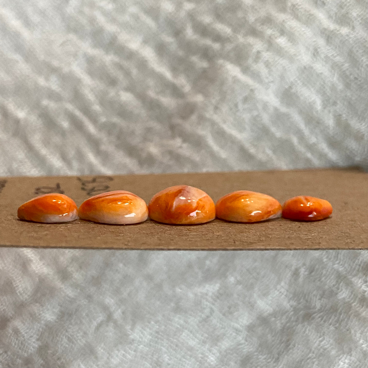Oyster Shell Cabochon - OS75