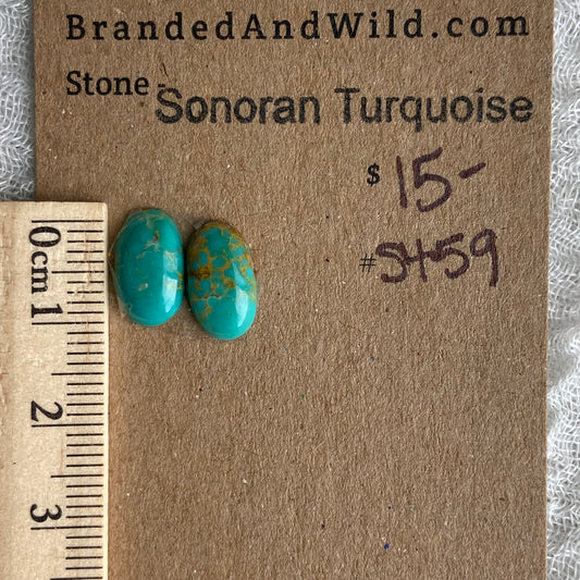 Sonoran Turquoise Cabochon - ST59