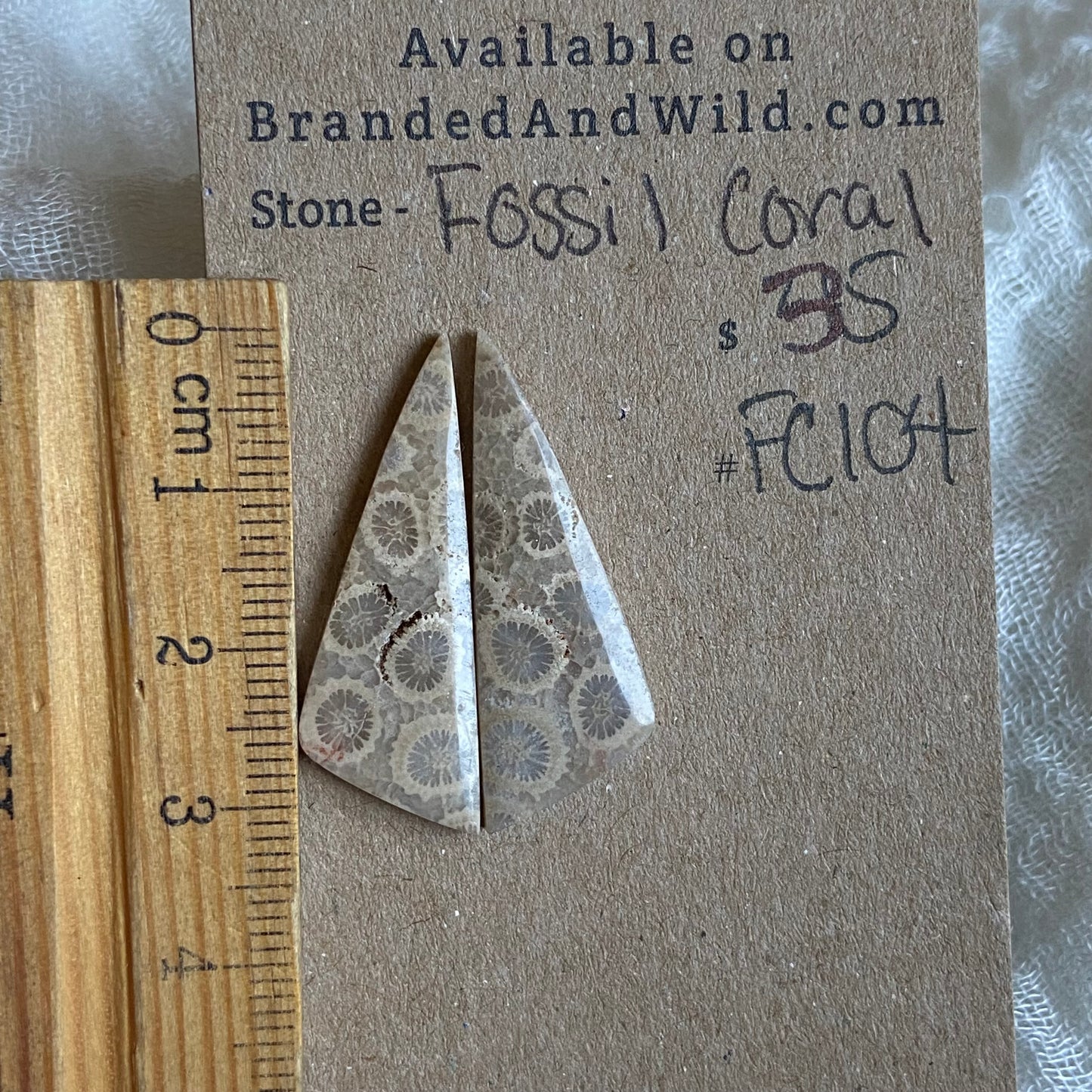 Fossil Coral Cabochon - FC104