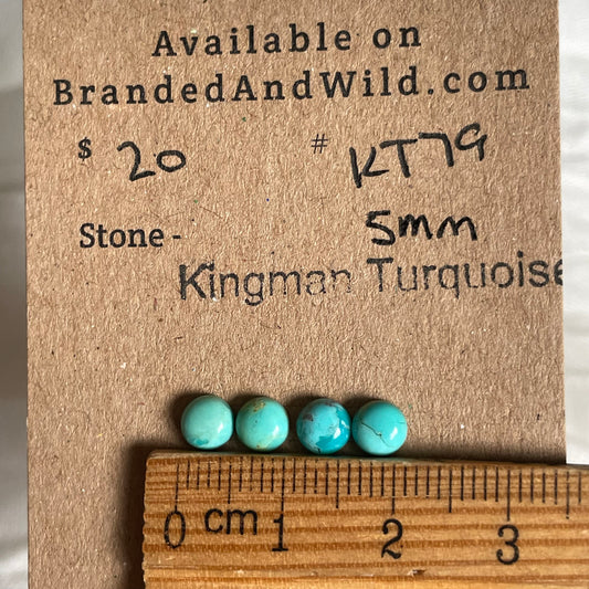 Kingman Turquoise Cabochon - KT79 67E428D2-3422-4157-9CD1-189D6F703F6E Brandedandwild.com